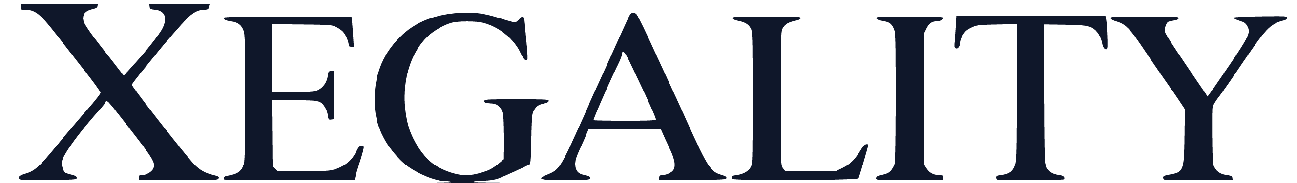 XE-Assistant logo